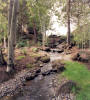 Levin Residence, Bend OR